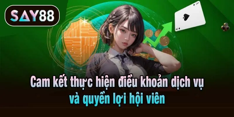 Cam kết thực hiện điều khoản dịch vụ và quyền lợi hội viên