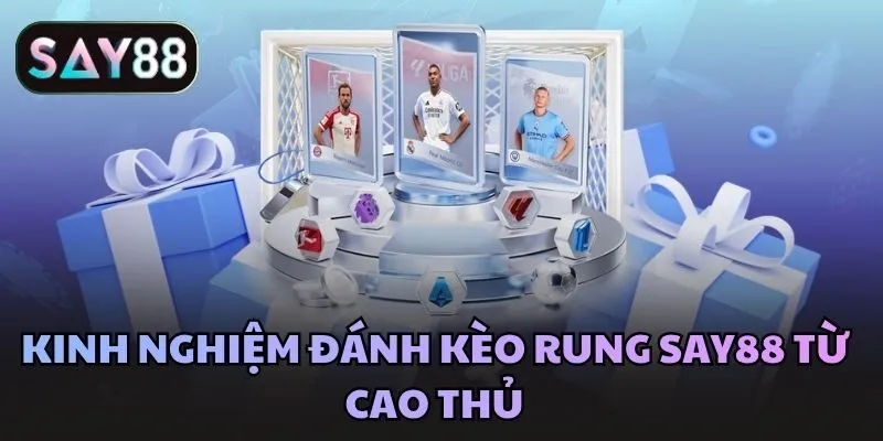 Kinh nghiệm đánh kèo rung Say88 từ cao thủ